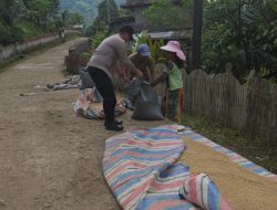 Kapolsek Bontocani Sambangi Warga Desa Langi, Bincang-Bincang Soal Hasil Panen Gabah Petani