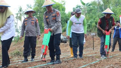 Polri Bersama Santri MHQ Tanam Jagung di Togeo Tonra, Bukti Nyata Kepedulian terhadap Ketahanan Pangan Nasional