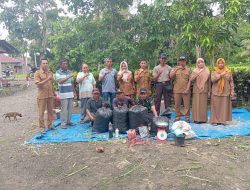 Bhabinlamtibmas Polsek Ponre bersama UPT Peternakan Dorong Kemandirian Peternak Lewat Fermentasi Pakan Sapi