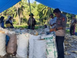 Polisi Penggerak Ketahanan Pangan Polsek Awangpone Dampingi Panen Jagung Warga di Desa Abanuaang