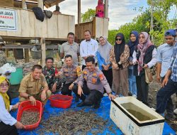 Panen Udang Vaname di Desa Watu, program Ketahanan Pangan 2025 Berjalan Sukses