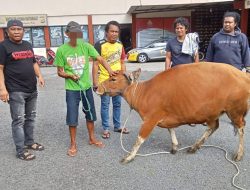 Gerak Cepat Tim Opsnal Polsek Tanete Riattang, Pelaku Curnak Ditangkap Kurang dari 24 Jam