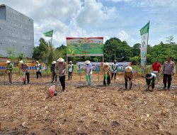 Kapolsek Awangpone Mendampingi ‎Wakapolres Bone Penanaman Jagung Serentak Kuartal IV Mendukung Swasembada Pangan