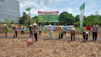 Kapolsek Awangpone Mendampingi ‎Wakapolres Bone Penanaman Jagung Serentak Kuartal IV Mendukung Swasembada Pangan