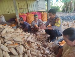 Bhabinkamtibmas Desa Cingkang Sambangi Petani Jagung, Ajak Warga Manfaatkan Lahan Kosong