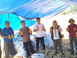 Panen Jagung, Bhabinkamtibmas Imbau Warga Jual Hasil Panen Jagung di Bulog