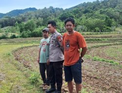Polisi Penggerak Ketahanan Pangan Polsek Patimpeng Data Lahan Baku Sawah, Ini Tujuannya