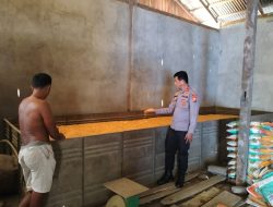 Kapolsek Lappariaja Tinjau Langsung Penyerapan Jagung oleh Bulog