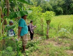 Melalui Problem Solving, Bhabinkamtibmas Polsek Cenrana Damaikan Permasalahan Warga Binaannya
