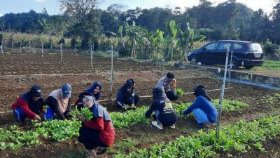 Bhabinkamtibmas Bripka Samsu Alam Bersama Mahasiswa Fakultas Pertanian Manfaatkan Lahan Pekarangan untuk Tanam Sayur Sawi