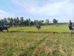 Polsek Awangpone Pengamanan Lomba Pacuan Kuda Cup II dan Mappassempe Desa Awolagading
