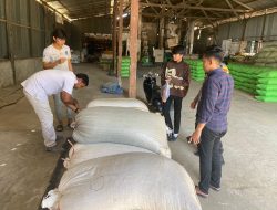 Bhabinkamtibmas Desa Barebbo Dampingi Tim Bulog Bone Lakukan Survey dan Pengambilan Sampel Jagung