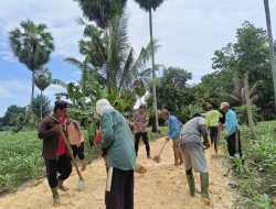 Bangun Kedekatan Bersama Warga, Pak Bhabin Ikut Kerja Bakti Timbun Jalan Tani