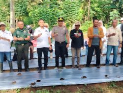 Kapolsek Barebbo Hadiri Gerakan Tanam Cabai Serentak di Desa Talungeng