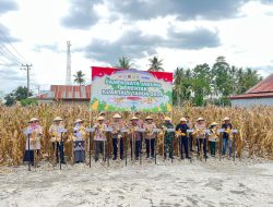 ‎Panen Raya Kuartal I Tahun 2026 di Desa Tanah Tengnga Palakka: Momentum Ketahanan Pangan dan Kesejahteraan Petani