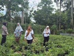 Sat Binmas Polres Bone Koordinasi dengan BPP Bahas Ketahanan Pangan