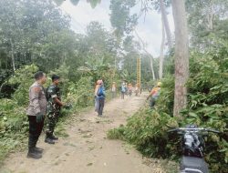 Kanit SPKT II Polsek Lamuru Dampingi PLN Lakukan Perampalan Pohon di Wilayah Kecamatan Lamuru