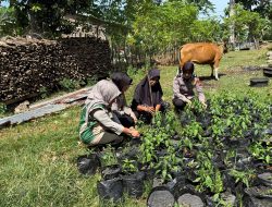 Sat Binmas Polres Bone Koordinasi dengan BPP Bahas Ketahanan Pangan