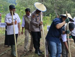 Target Produksi jagung di 2026, Saat ini Polda Sulsel Sudah Menanam Jagung di Lahan 812 Hektar