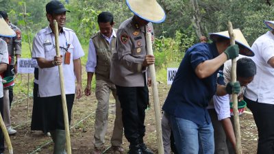 Target Produksi jagung di 2026, Saat ini Polda Sulsel Sudah Menanam Jagung di Lahan 812 Hektar