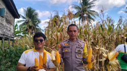 Komitmen Polres Bone, Pendampingan Polisi Penggerak Antar Petani Sukses Panen