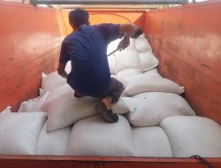 Personel Polsek Awangpone Laksanakan Droping Jagung Pipil ke Gudang Bulog Polres Bone