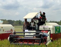 Kapolsek Cenrana Hadiri Acara Panen Raya Padi di Desa Awang Cenrana