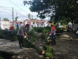 Polsek Mare Bersma PLN Ranting Mare Laksanakan Pemngkasan Dahan Pohon yang Membahayakan Warga