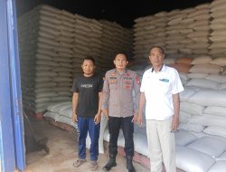 Sinergi Ketahanan Pangan: Polsek Mare Kawal Distribusi Tonase Jagung Petani ke Gudang BULOG