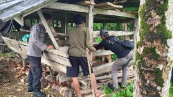 Lakukan Pendampingan Vaksinasi Ternak dari Dinas Peternakan, Ini yang Dilakukan Bhabinkamtibmas Aipda Junaid