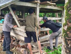 Lakukan Pendampingan Vaksinasi Ternak dari Dinas Peternakan, Ini yang Dilakukan Bhabinkamtibmas Aipda Junaid