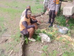 Bhabinkamtibmas Desa Gattareng Laksanakan Kegiatan Sambang, Ini yang Disampaikan