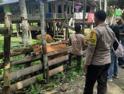 ‎Bhabinkamtibmas Lakukan Pendampingan Dinas Peternakan dalam Vaksinasi Ternak