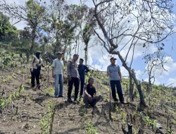 Polsek Mare Laksanakan Pengecekan Lahan Jagung Pakan di Desa Ujung Salangketo