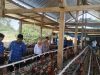 Kapolsek Sibulue Hadiri Launching BUMDES Mattiro Deceng dan Gerakan Pangan Murah di Desa Tunrung Tellue