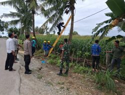 Bhabinkamtibmas Hadiri Kegiatan Pemeliharaan Terpadu Tuntas (PTT) di Kecamatan Ajangale