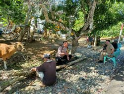 Bhabinkamtibmas Hadir Berikan Solusi, Persoalan Ternak Merusak Lahan Berakhir Damai