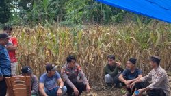 Tampung Keluh Kesah, Kanit Binmas dan Bhabinkamtibmas Di Amali Sambangi Petani Jagung
