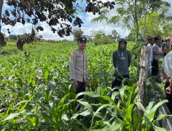 Bhabinkamtibmas Polsek Kahu Sambangi Petani,dukung ketahanan pangan